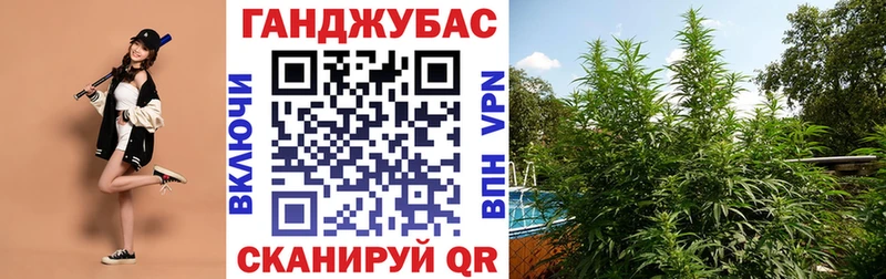 Купить закладку Alpha-PVP Меф Канабис Кола