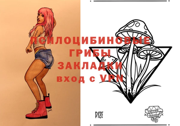 spice Каменногорск
